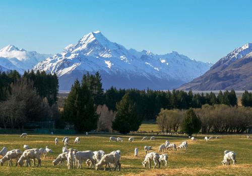 New Zealand