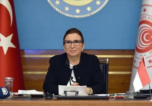 تركيا