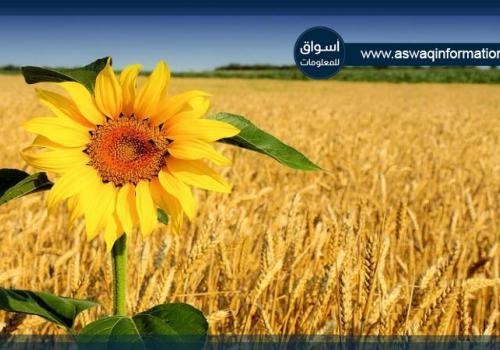 روسيا