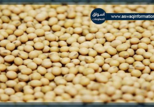 البرازيل