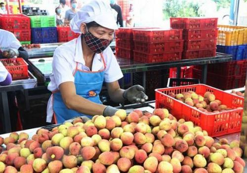 Viet Nam