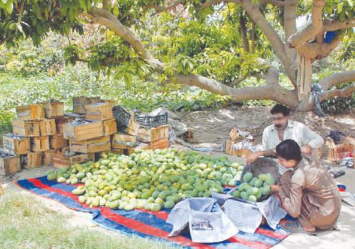 Pakistan