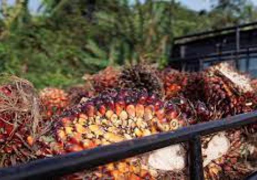 Indonesia