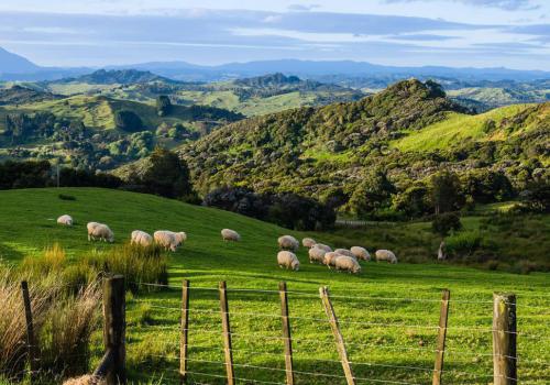 New Zealand